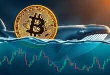 تأثیر نهنگ‌ها بر نوسانات قیمت بیت‌کوین و تتر با نمودارهای بازار