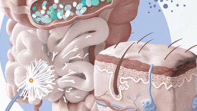 ارتباط روده و درخشش پوست