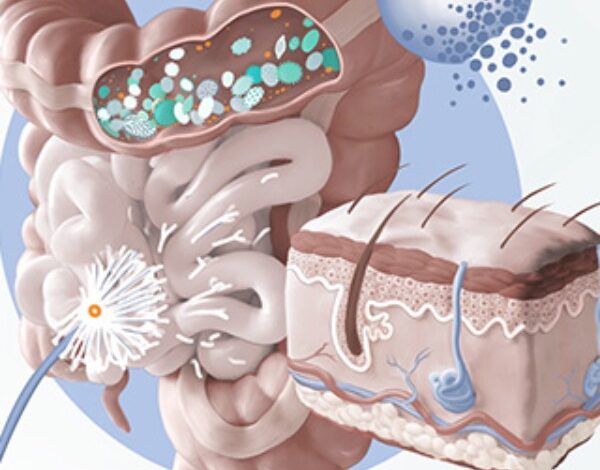 ارتباط روده و درخشش پوست