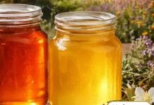 قیمت عسل چه چیزی درباره کیفیت آن می‌گوید؟